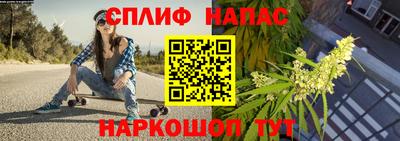 мяу мяу мука Нальчик