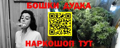 PSILOCYBIN Нарткала